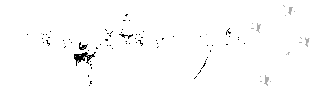 bad boys